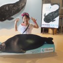 ゆうにゃんとの夏休み　　琵琶湖博物館