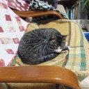 茶太です　よろしく！