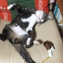 茶太です　よろしく！