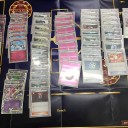 第3回 シングウシティジムバトル TOP4 デッキレシピ②