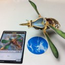 カラデシュ プレリリース ホビステ藤沢
