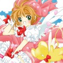 INTRODUCTION 223 ：　かつて魅了の限りを尽くした木之本桜という女