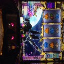 新潟大会が魅力的すぎる