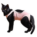 猫s 中性化