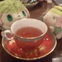 何とかやってるお茶会とシェイミ