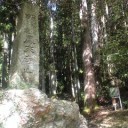 紅葉シーズン前に鳳来寺山に行きました