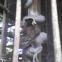 旅行