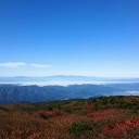 紅葉狩り 蔵王エコーライン 2016秋