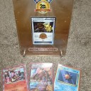2016 10/23ポケモンカードゲーム20thアニバーサリーフェスタ愛知大会