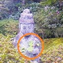 鎌倉探訪