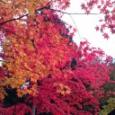 花巻・盛岡旅行 初日 2016秋