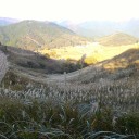気がつけば、砥峰高原