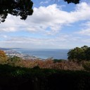 有休