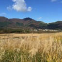 仙石高原までススキを見に行ってきました。