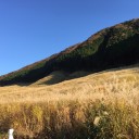 仙石高原までススキを見に行ってきました。