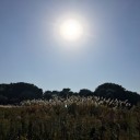 2016/11/13