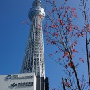 東京旅行 二日目 2016冬