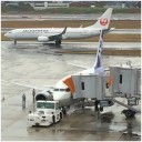 みんな大好きカツサンド