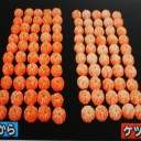 甘いミカンと普通のミカンとは・・・　何処が違う？！