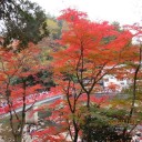 見事だった香嵐渓の紅葉