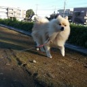 ホットヨーグルト
