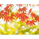 もうすぐ・・・
