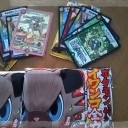 イワンコ全力パック追加購入しました。