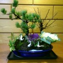 松竹梅を作る２０１６