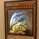 猫に小判？