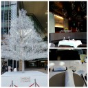 家族のChristmas