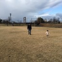 2016年