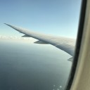 フランクフルト→成田