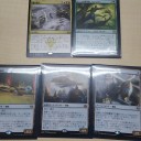 1/15東区民プレリ