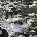 ２３年ぶり！連日の積雪！