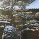 冬場の湯船でも熱中症に要注意！（サザエさん風の巻）