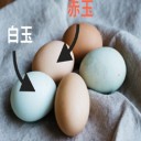 卵「赤玉の方が栄養がある」は勘違い！白卵と赤卵、どっち？！