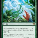赤緑ランデス