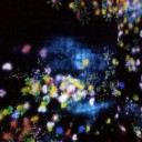 君の名は。