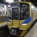 新型の