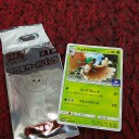 まさかの初ジムバトル！！！0217