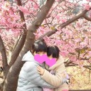 大阪で皆さんが活躍している頃、僕は桜を見ていました。