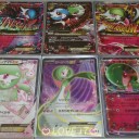 チャンピオンズリーグを２日間共に戦ったポケモン