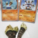 家族でカメテテを食す！でも自分以外。