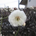諸々の話（2/26）