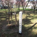 諸々の話（2/26）