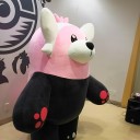 ポケセントウホクレポ0226