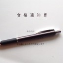 猫がいない生活２５８日で終了　“毛玉と毛玉がこんにちは”　の巻