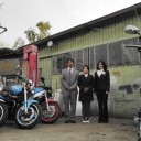 猫がいない生活２５８日で終了　“毛玉と毛玉がこんにちは”　の巻