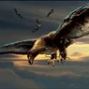 部族モダンでは青白「鳥」とかもありです