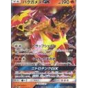 ビクティニ、バクガメスGX